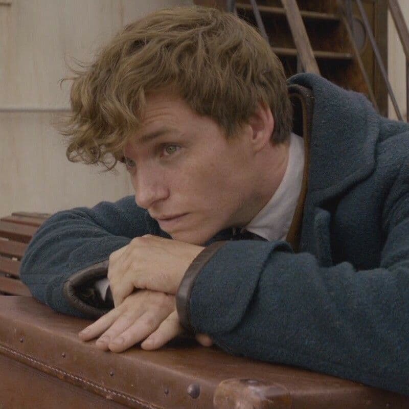 Newt Scamander  thumbnail