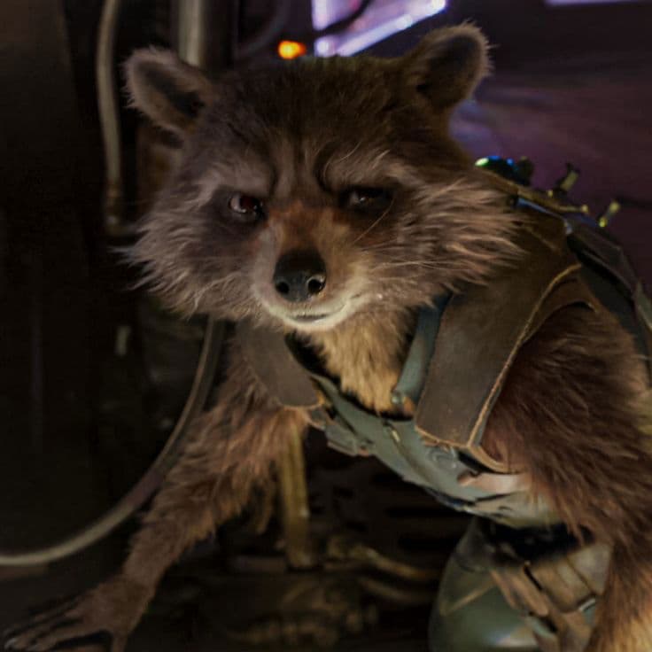 Rocket Raccoon thumbnail