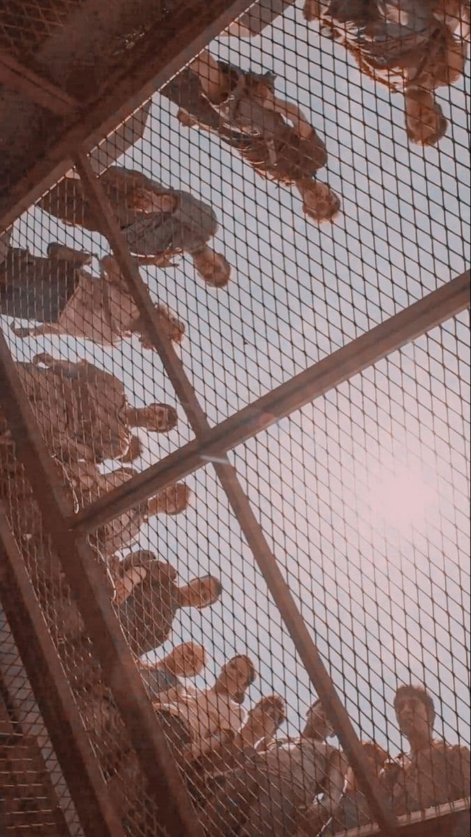 The Maze Runner ( 2 scenario) thumbnail