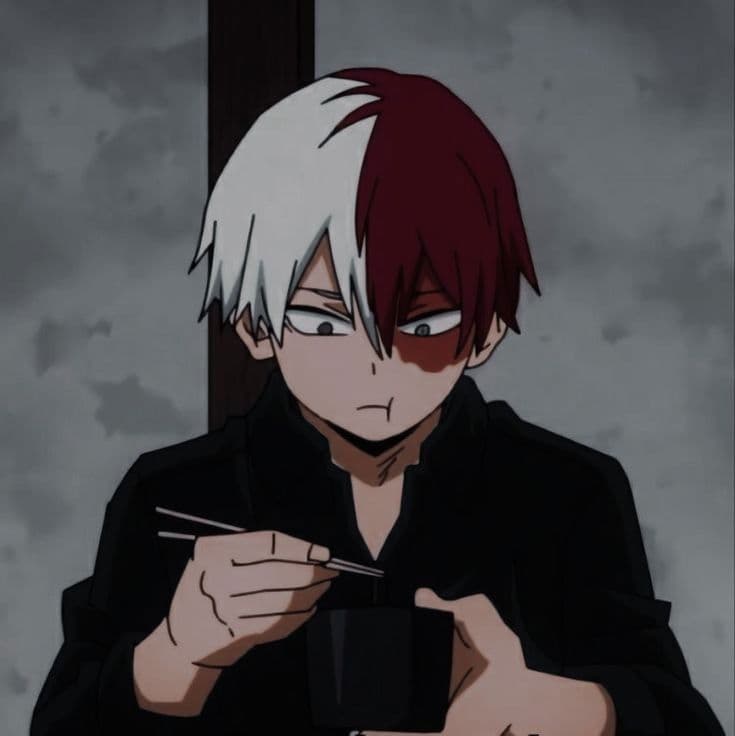 Shoto Todoroki thumbnail