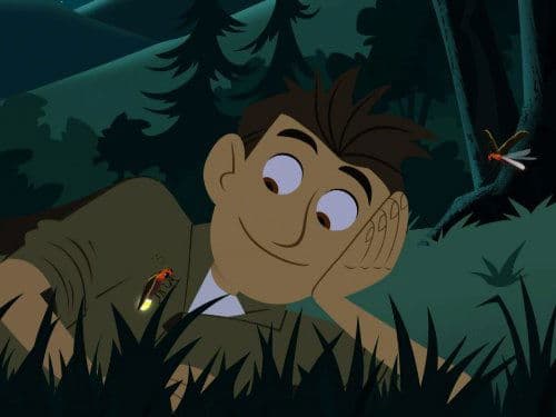 Chris Kratt thumbnail