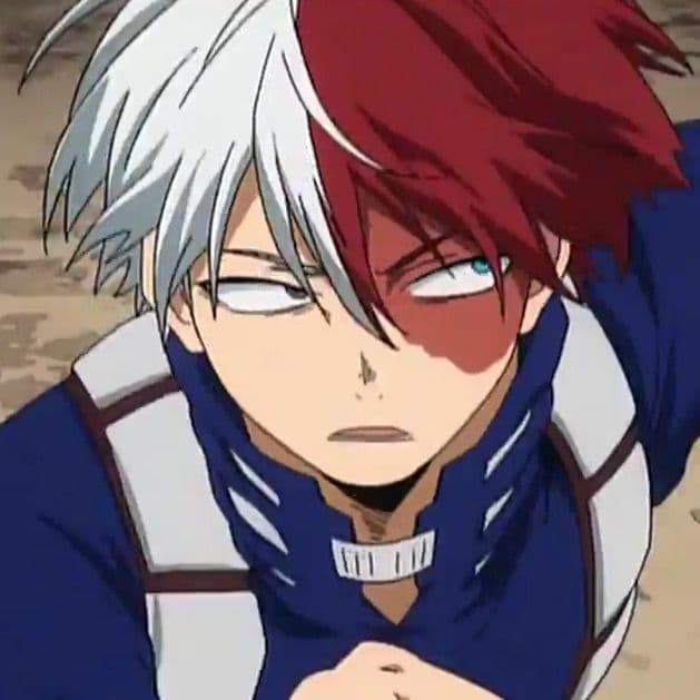 Shoto Todoroki thumbnail
