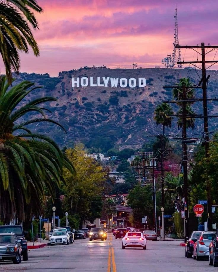 Spotlight: Hollywood Simulator thumbnail
