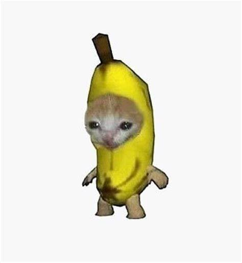 Banana Cat 😭 thumbnail