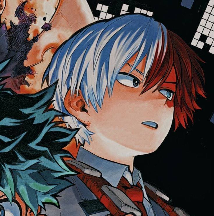【﻿ＴＯＤＯＲＯＫＩ】 thumbnail