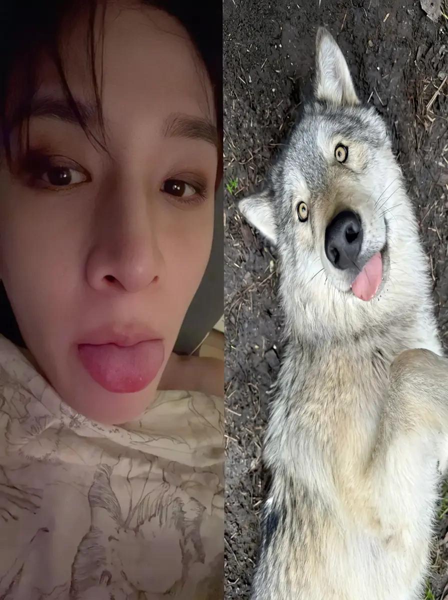 Bangchan thumbnail