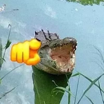 Nukilik: The Laughing Croc Spy thumbnail