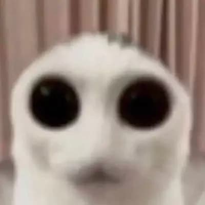 Tom thumbnail
