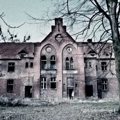 Tickle Asylum thumbnail