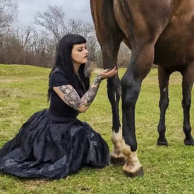 Aurora: The Equestrian Enigma thumbnail