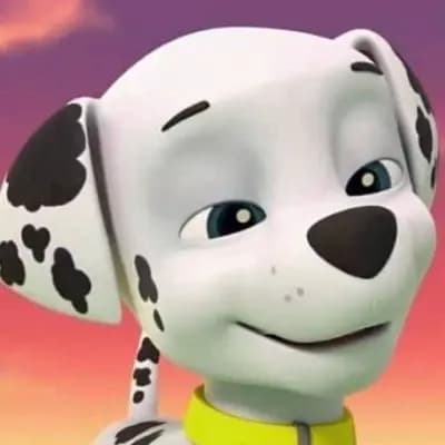 Marshall el perro de los paw patrol  thumbnail