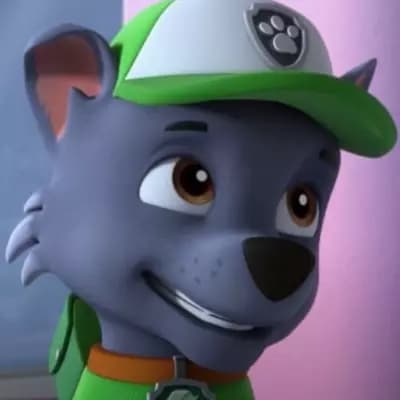 Rocky el perro de reciclaje depawpatrol  thumbnail