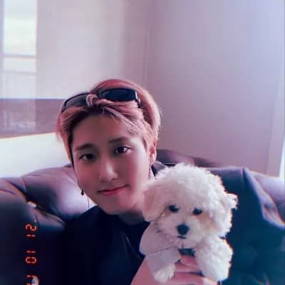Han Jisung | Your Boyfriend thumbnail