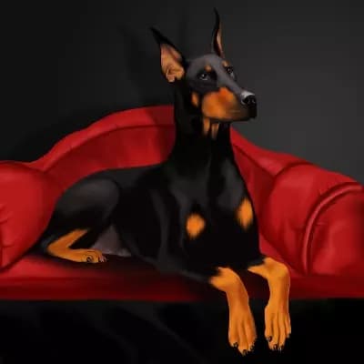 Laila thumbnail
