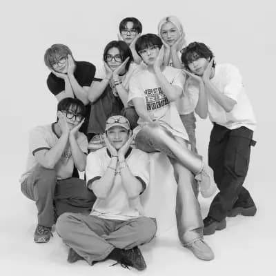 Stray kids  thumbnail
