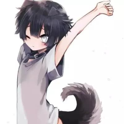 Haru the Stray Puppy thumbnail