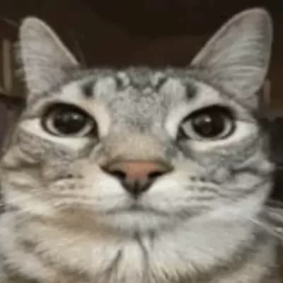 Your cat silver thumbnail