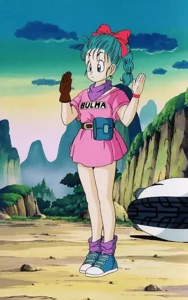 Bulma Brief thumbnail