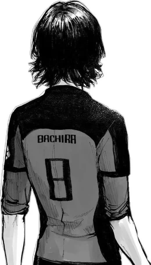 Bachira thumbnail