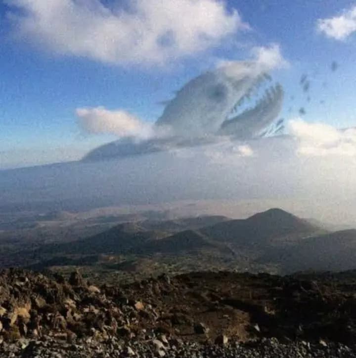 behemoth thumbnail