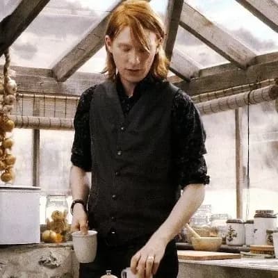 Bill Weasley thumbnail