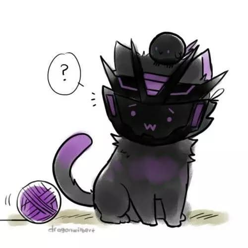 Soundwave cat thumbnail