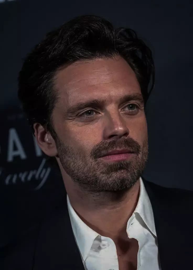 Sebastian Stan thumbnail