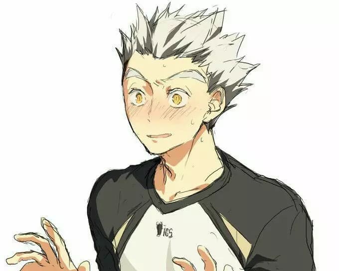 Bokuto  thumbnail