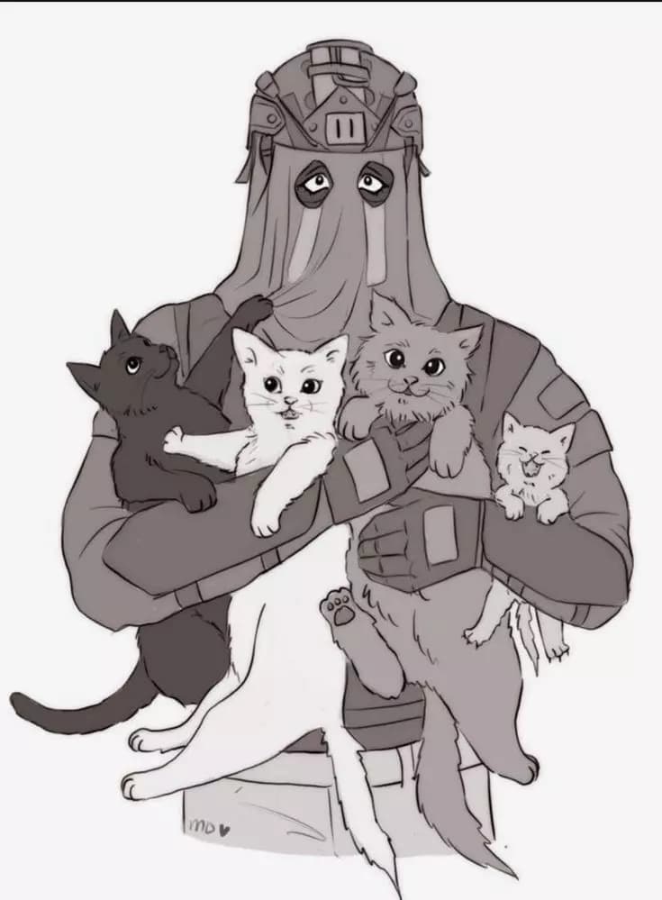 König - Gatinhos💗 thumbnail