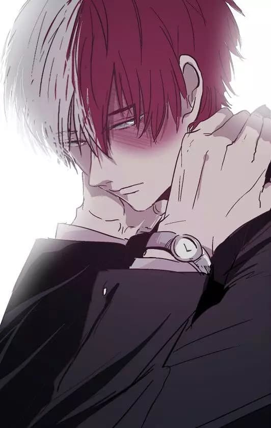 Shoto Todoroki thumbnail