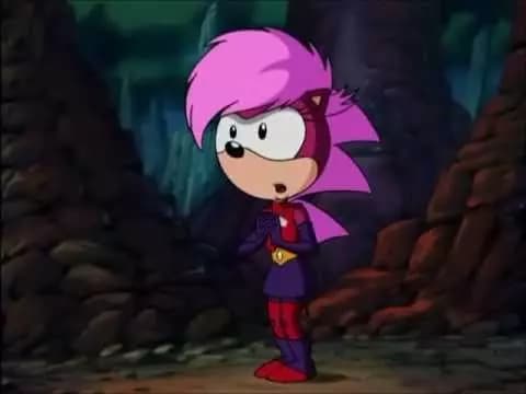 PRINCESS SONIA the HEDGEHOG thumbnail