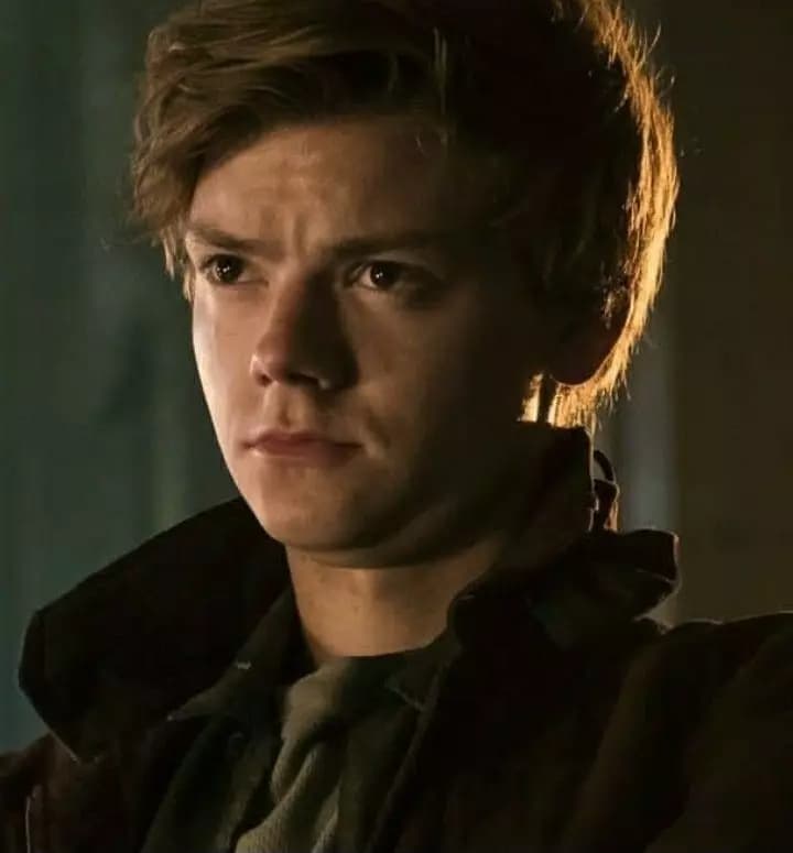 Newt thumbnail
