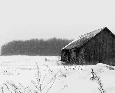 Decaying Winter World RP thumbnail