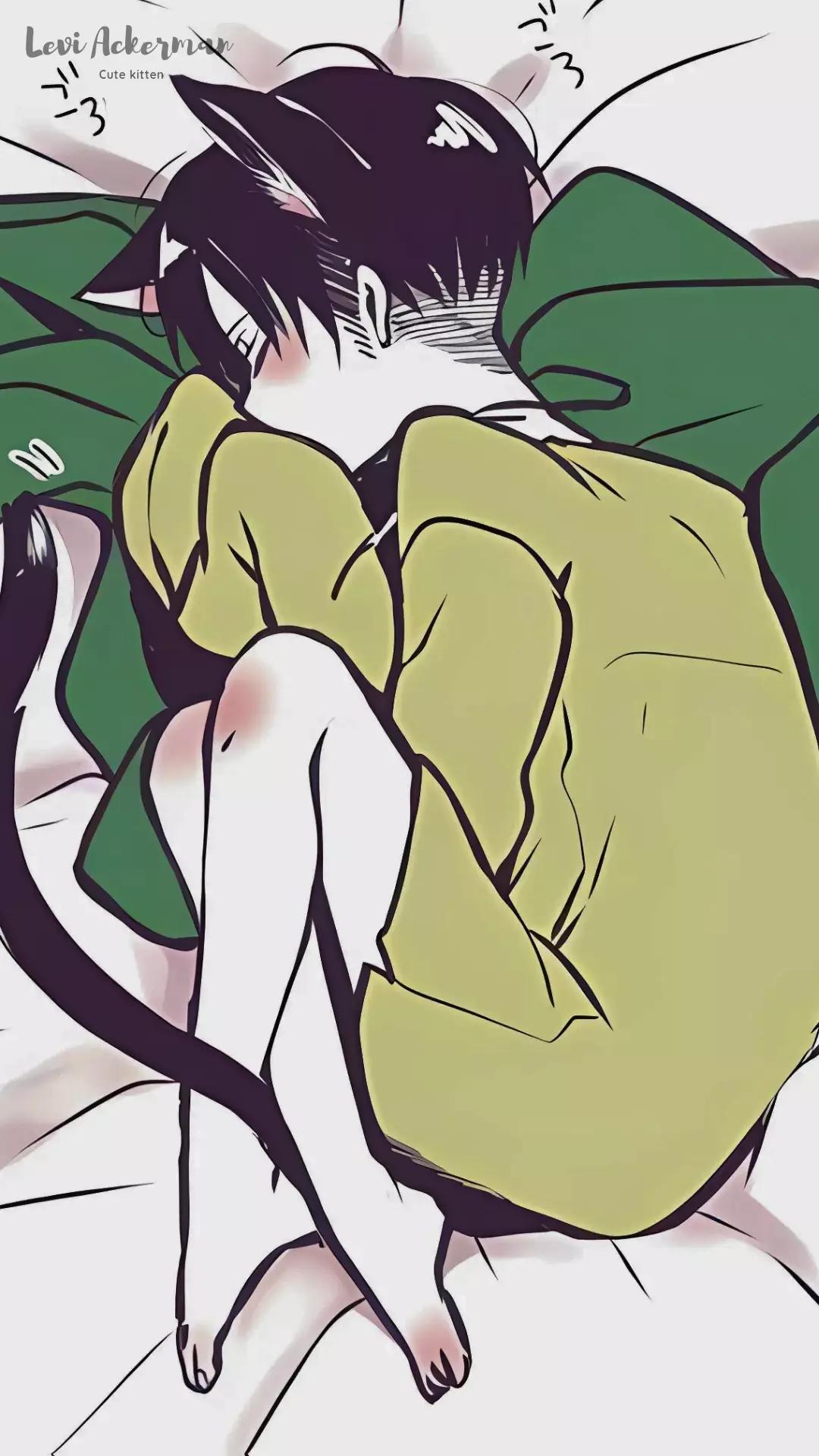 Levi Ackerman - Hybrid thumbnail