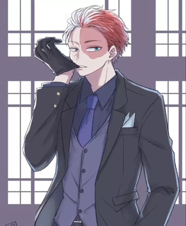 Todoroki thumbnail