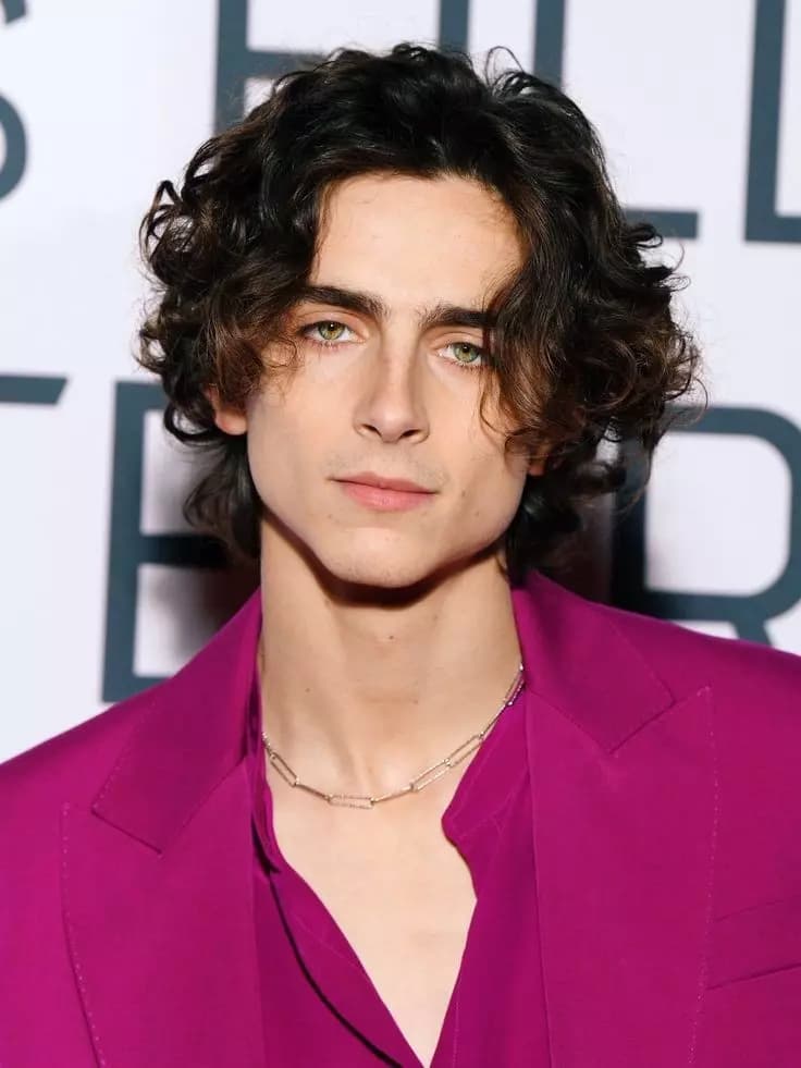 Timothée Chalamet thumbnail