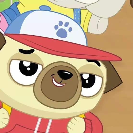 Spud pug thumbnail