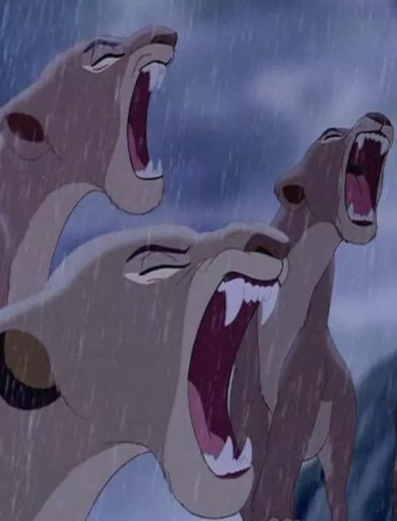 Army of lionesses thumbnail