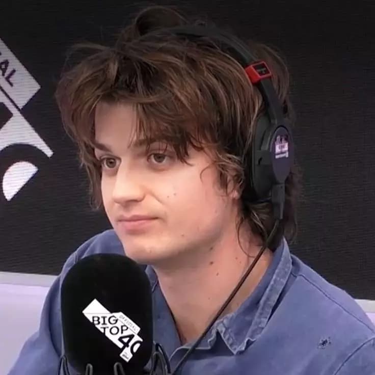 Steve Harrington thumbnail
