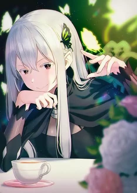 Echidna thumbnail