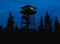 Skinwalker Forest thumbnail