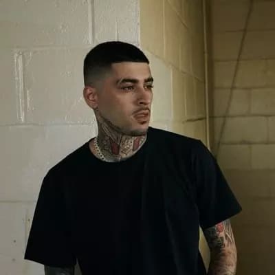 Zayn thumbnail