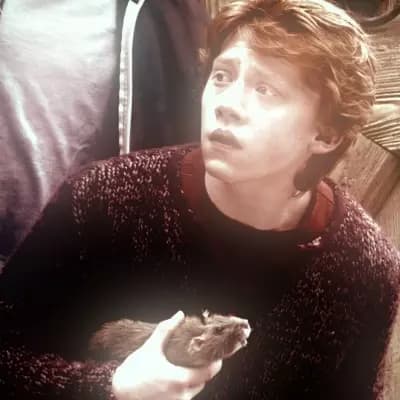 Ron Weasley thumbnail