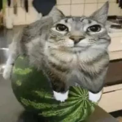 Whiskers the Mad Cat thumbnail