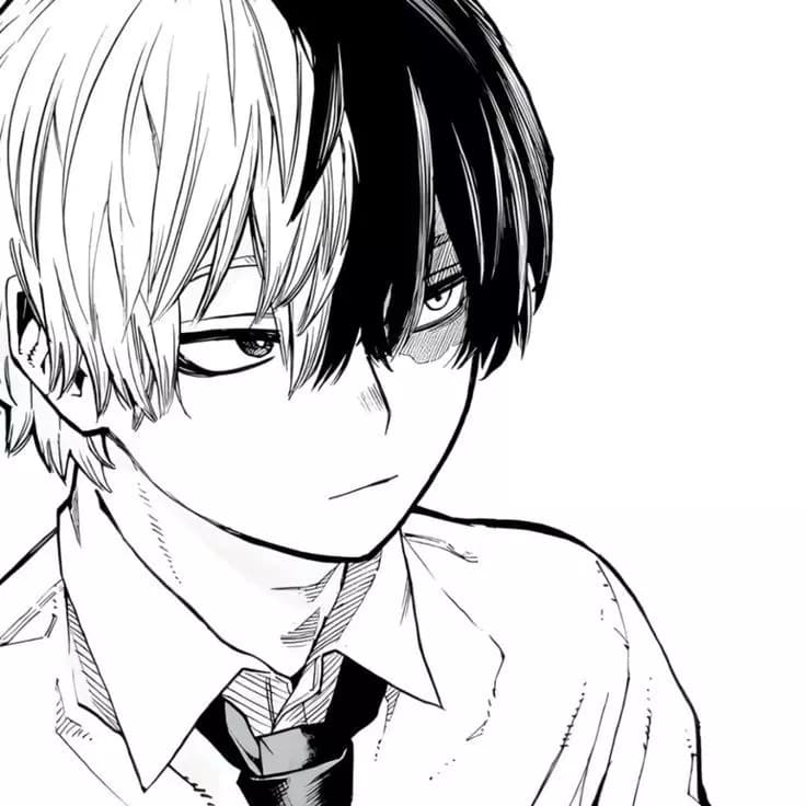 Pt-Br! | Shoto Todoroki thumbnail