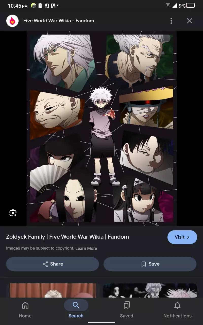 Zoldyck family  thumbnail