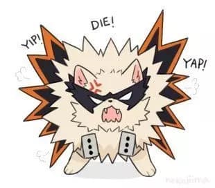 Pomeranian bakugo♡ thumbnail