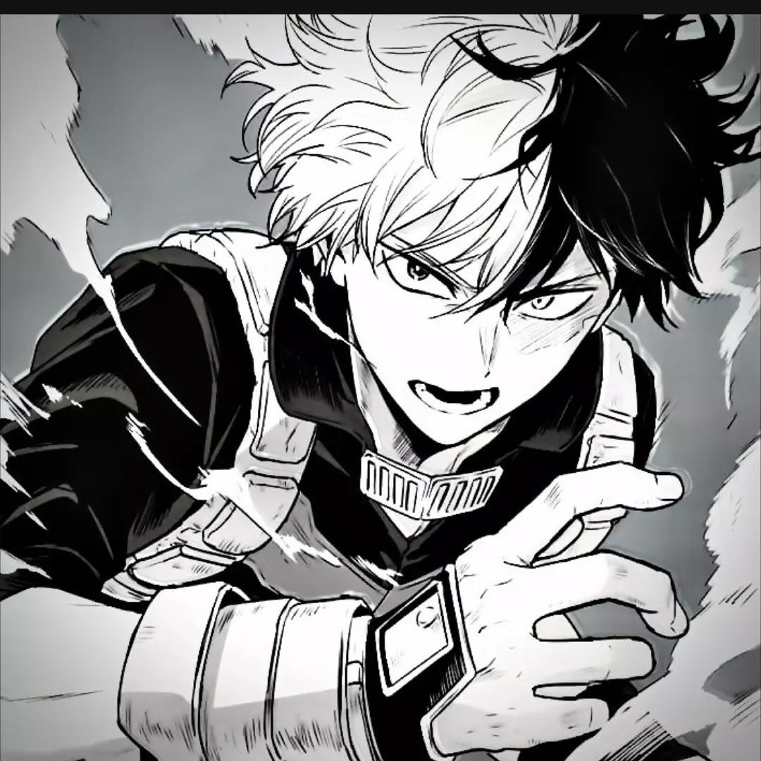Shoto Todoroki thumbnail