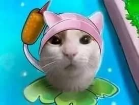 cat tail thumbnail