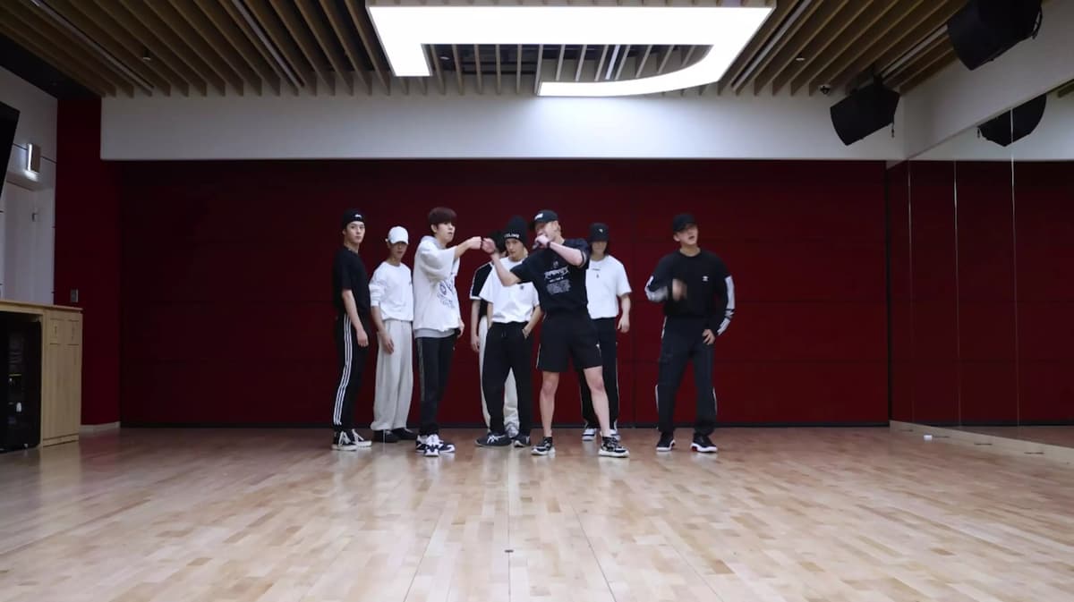 Straykids Choreography  thumbnail
